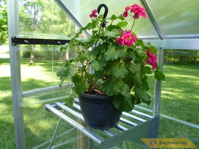 DIY - Palram Greenhouse Project | corner mounted shelf unit.palram 6x10 greenhouse project