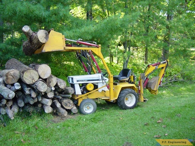 cub at the log pile